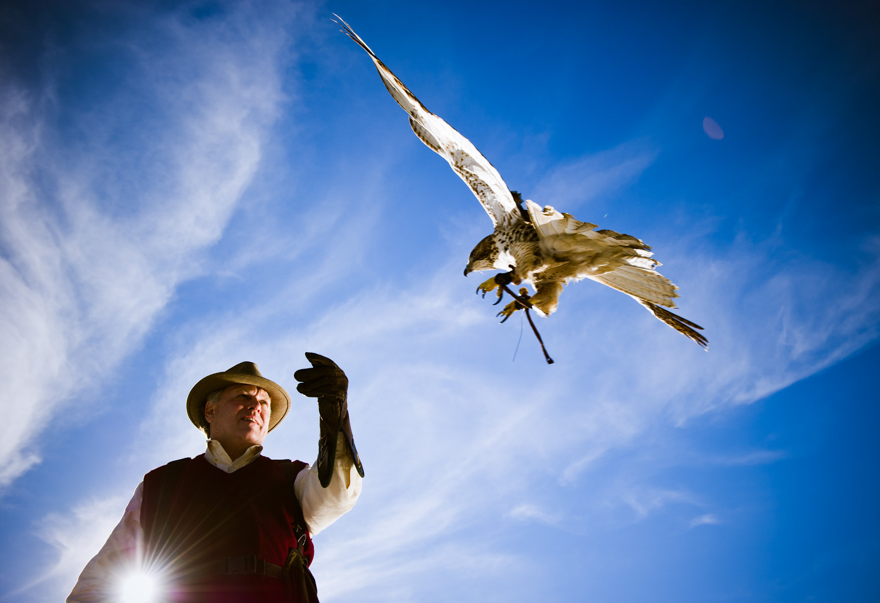 akorn-AIncFalcon0111-0058-retouched